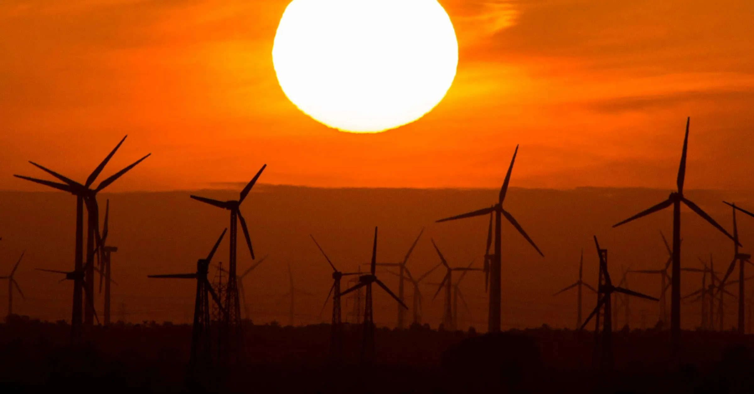 Windmills at golden hour