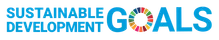 SDG logo